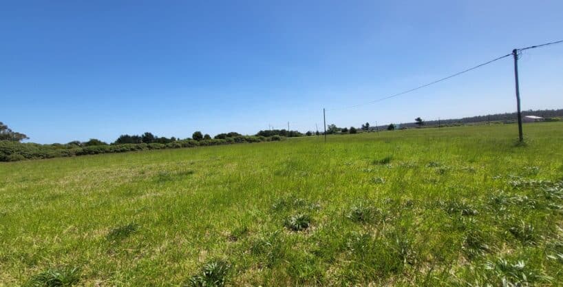 Lote en San Eduardo del Mar calle 61 entre las calles 20 y 16 | 450m2