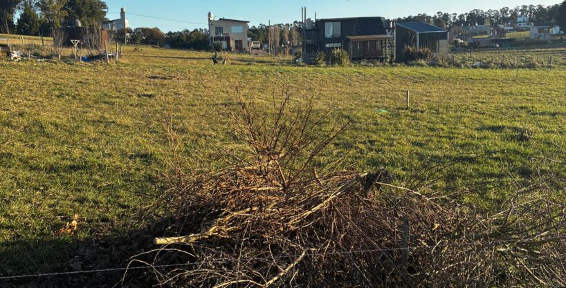Lote en Playa Lobos Chapadmalal, sobre Av. Los Pescadores | 501m2