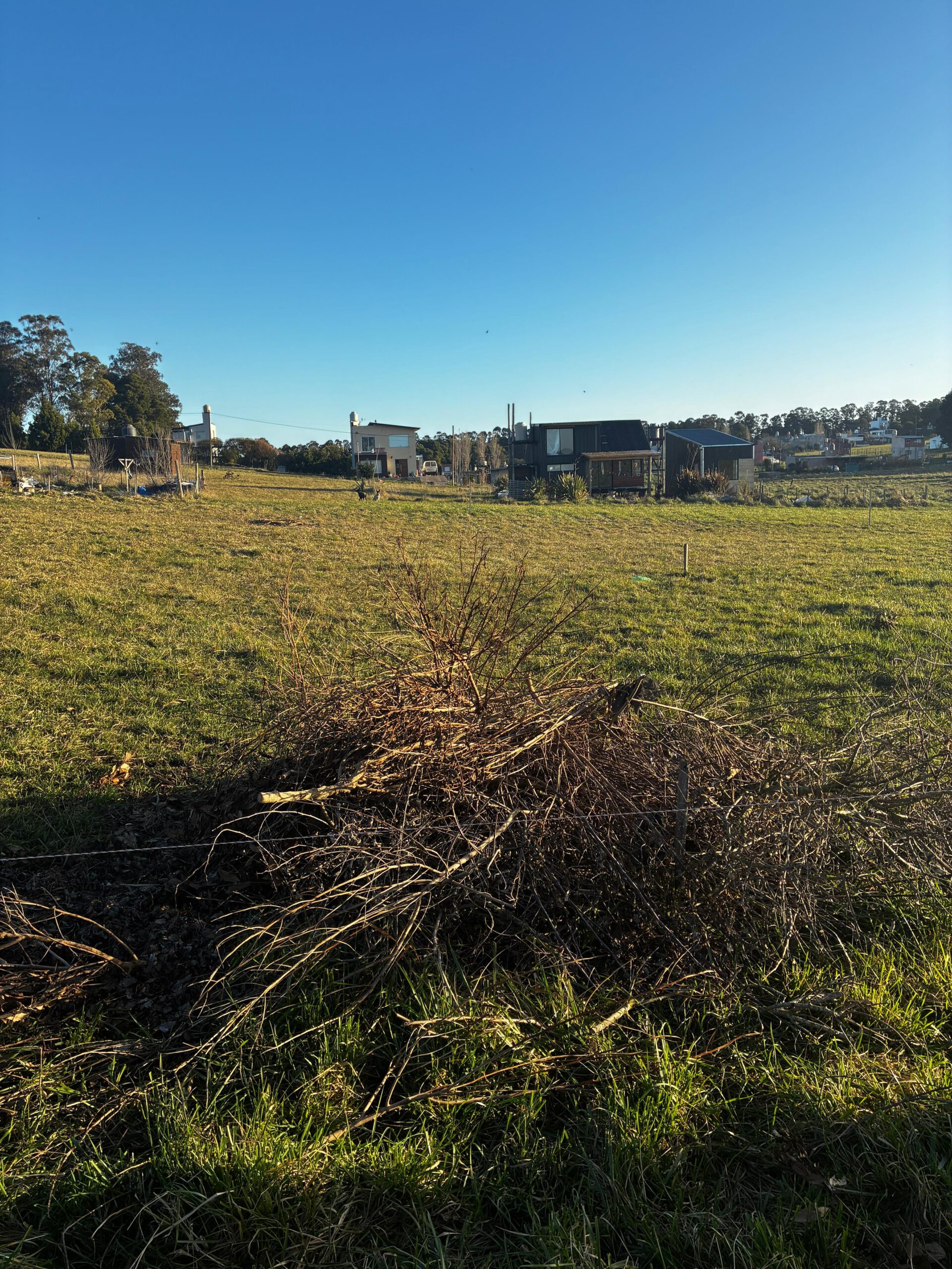 Lote en Playa Lobos Chapadmalal, sobre Av. Los Pescadores | 501m2