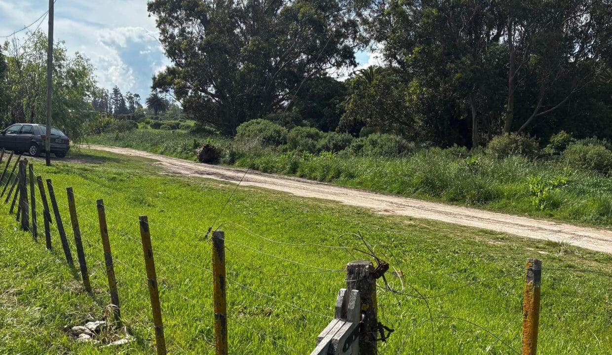 WhatsApp Image 2025-11-24 at 20.45.53