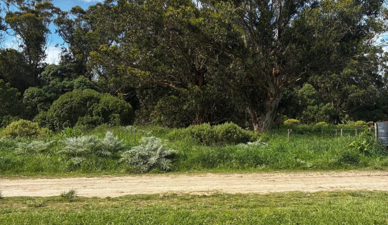 WhatsApp Image 2025-11-24 at 20.51.11